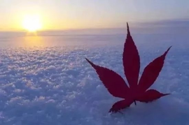 დ释怀დ主播照片