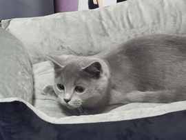 阳阳💕晚上见主播照片