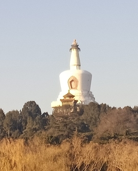 A京城六哥A主播照片