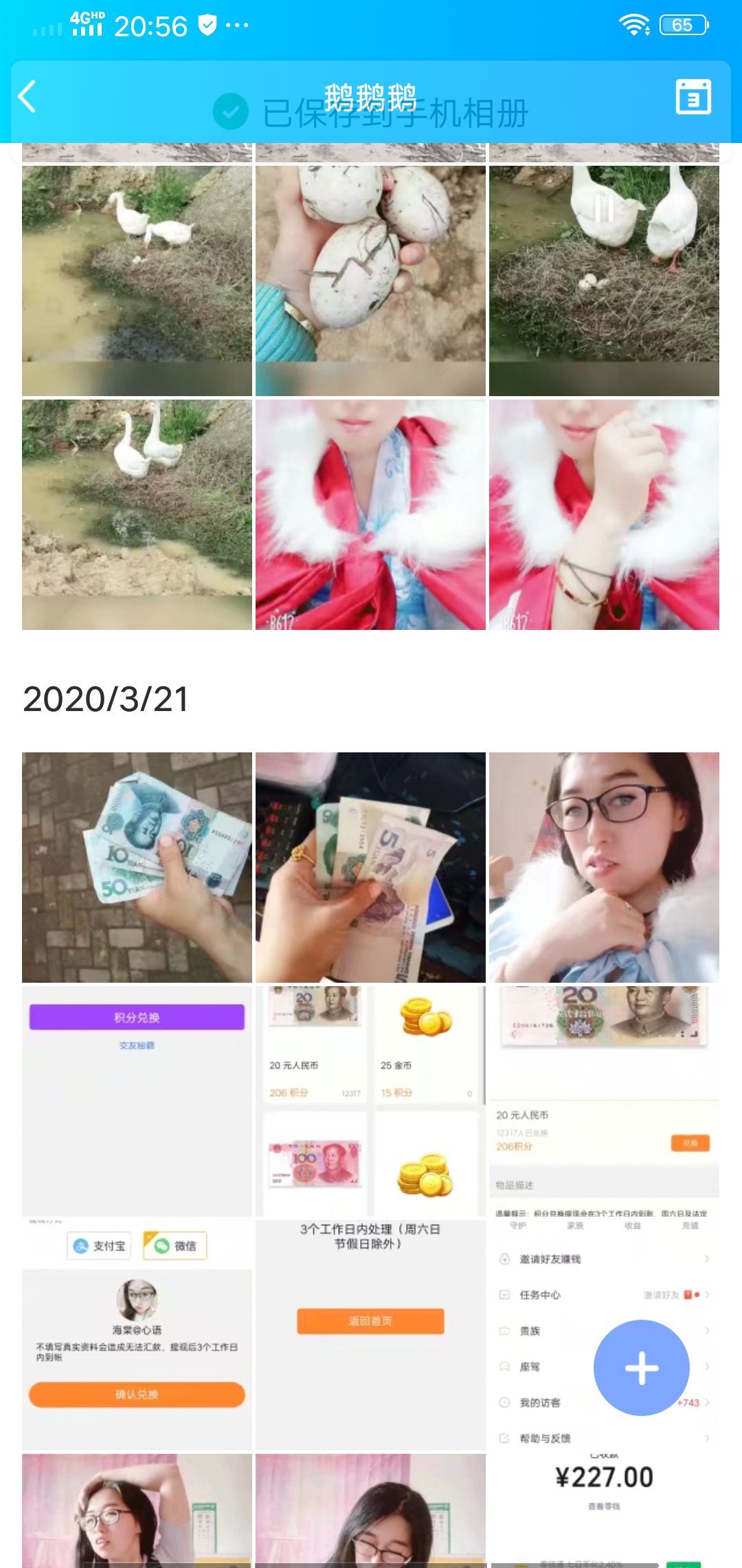 果果(平安好运)的图片