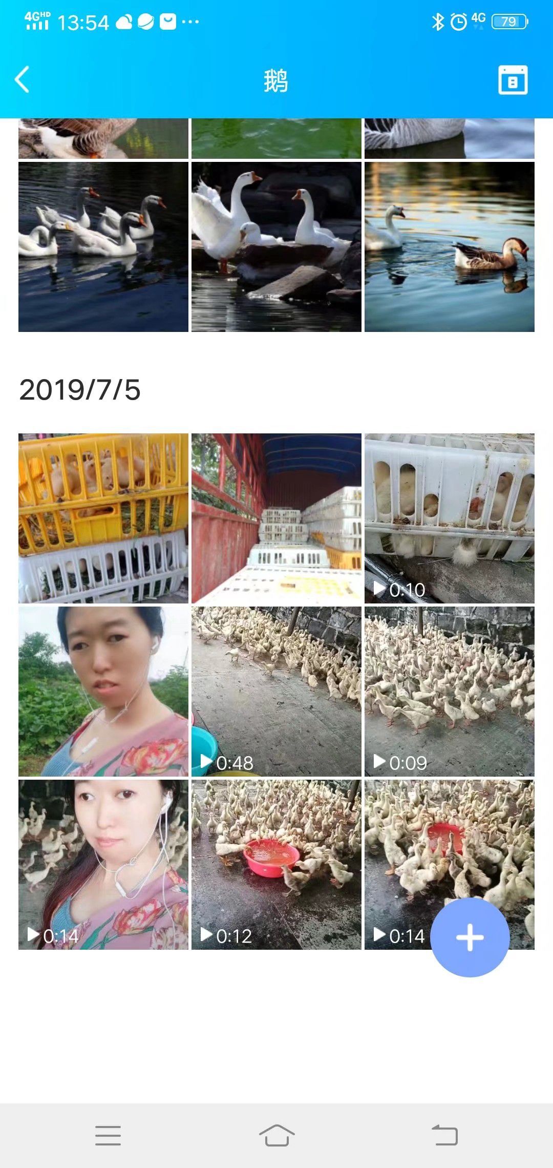 果果(平安好运)的图片