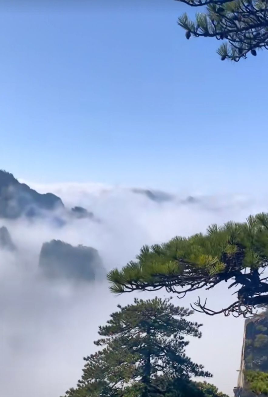 婷婷💕感恩有你陪伴的图片