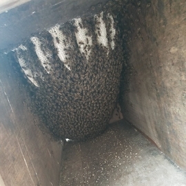 《只属于自己》主播照片