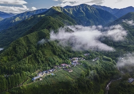 江楠空间主播照片