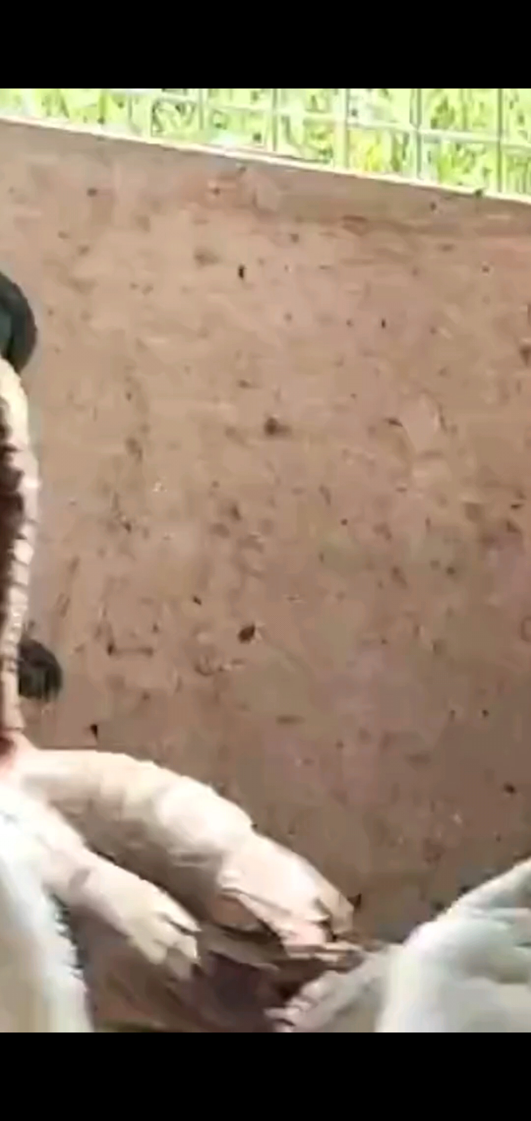 /大笑