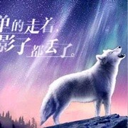 挚南笙