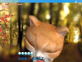 水母好美主播照片