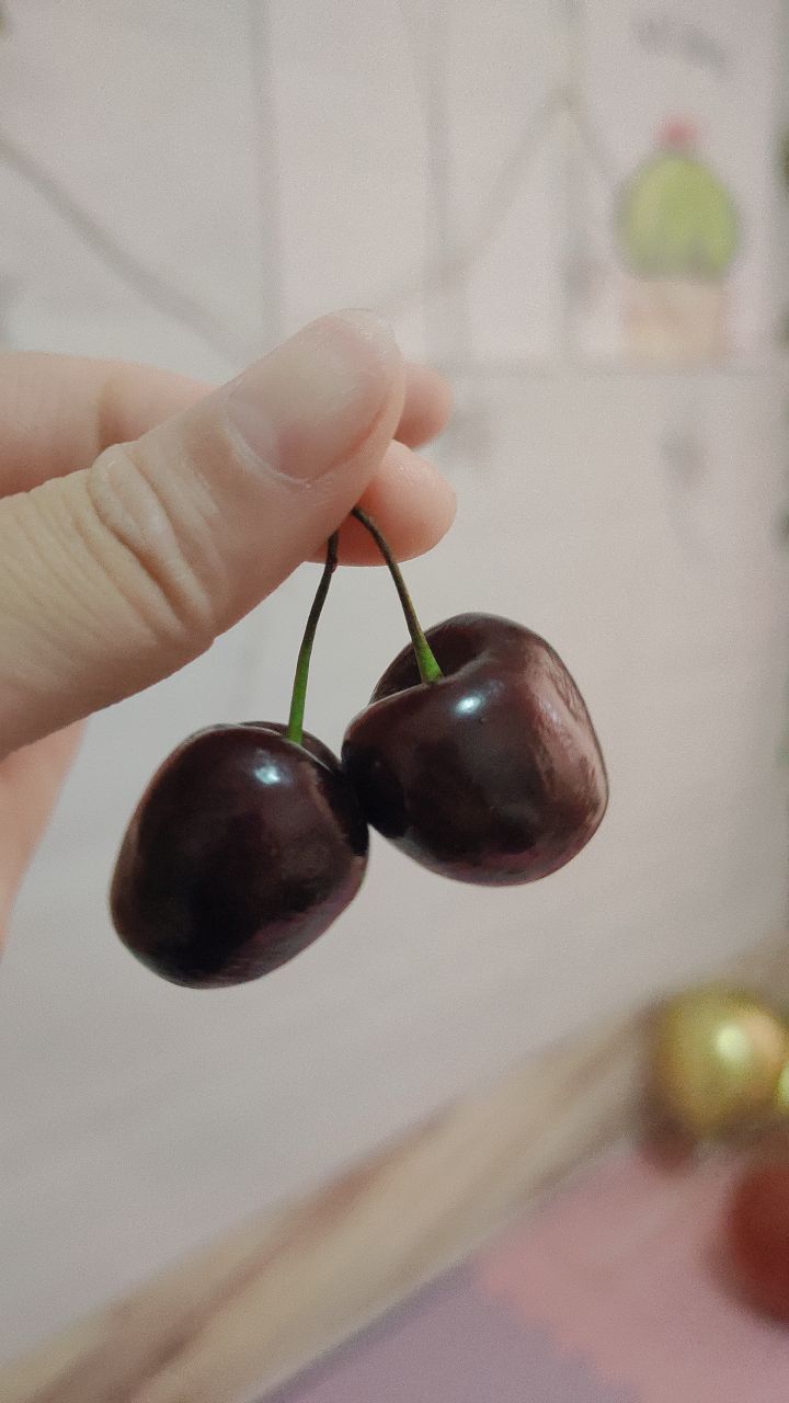 婷婷💕感恩有你陪伴的图片