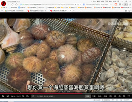 保利哥主播照片