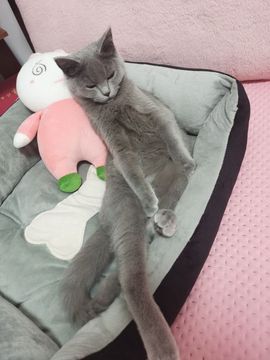 阳阳💕晚上见主播照片