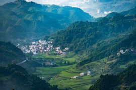 左手天都白🍻的图片