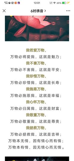 佑道♥恭贺YOU杨禧主播照片