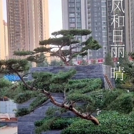 《绣花小歌主播照片