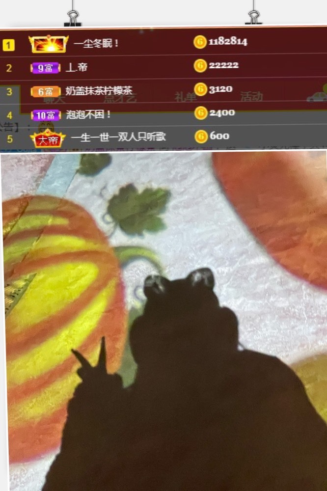泡泡不困！主播图片