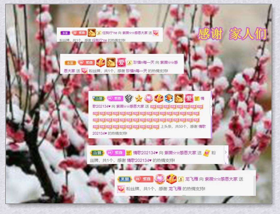 紫薇☆☆音乐频道的图片