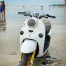 12589elpy*