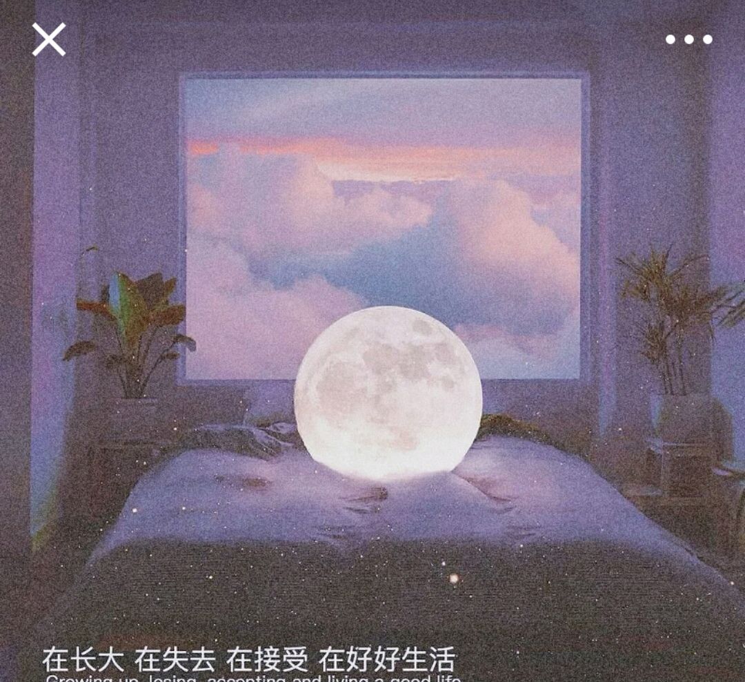 星宸💖执念成殇的主播照片