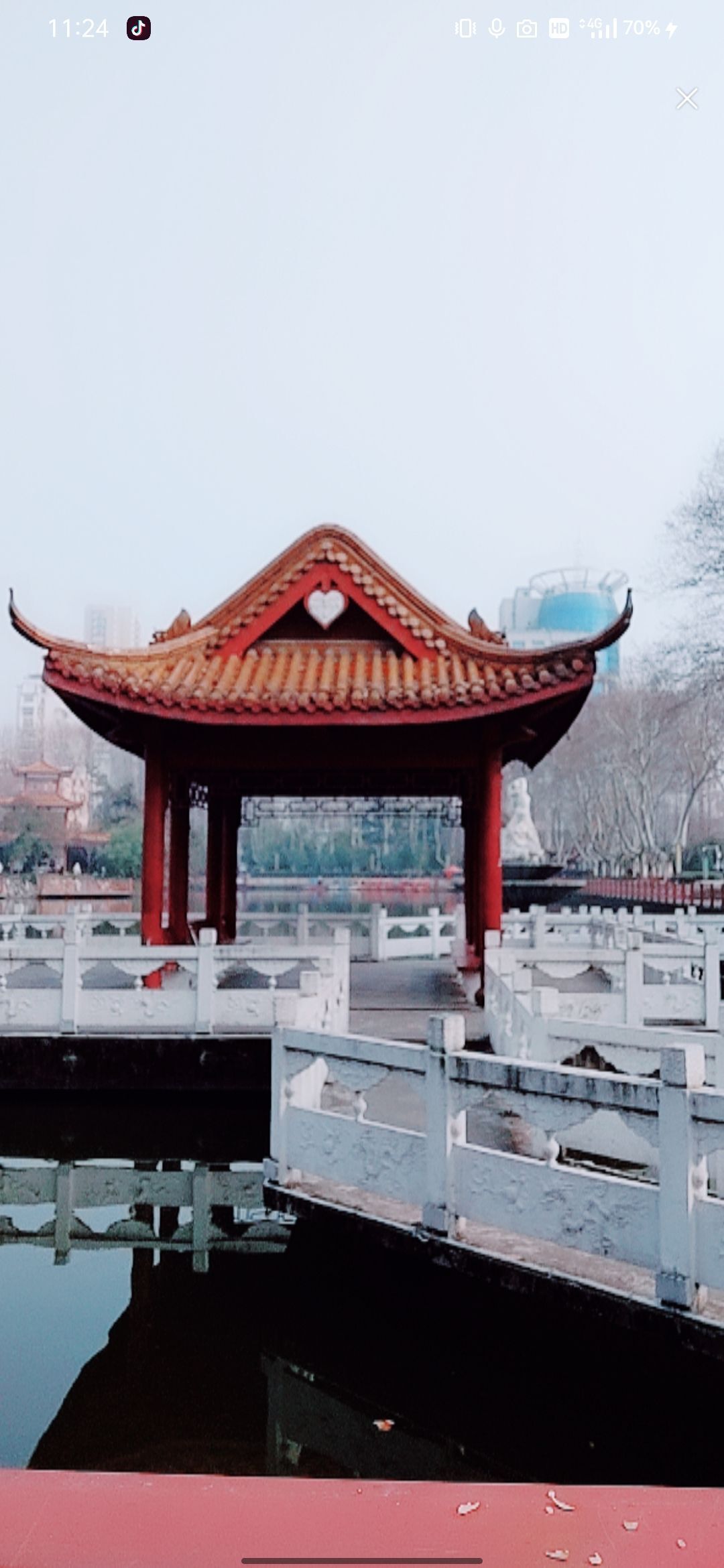 婷婷💕感恩有你陪伴的图片
