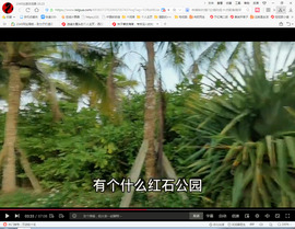 保利哥主播照片