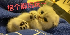 甜甜傻了吧唧主播照片