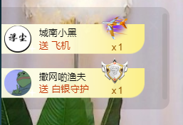 二蛋滑板鞋主播照片