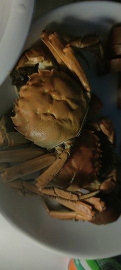 柒七休主播照片