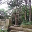 山风wyg海报