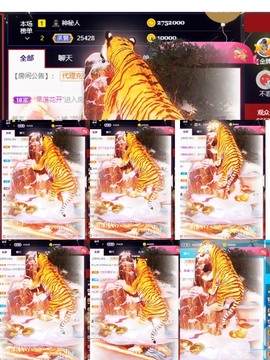 我是隐身娃主播照片