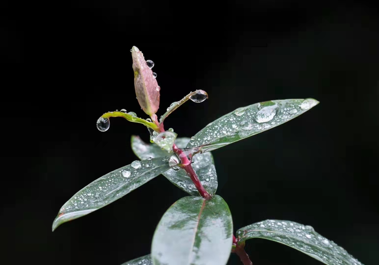 ╰✿╮蓝鸟♪♪的主播照片