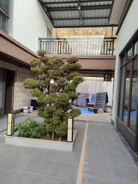 戰神大元帥黎歌主播照片