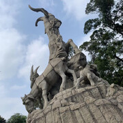 好像在来过海报