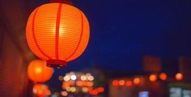 你不在意我何必珍惜！的图片