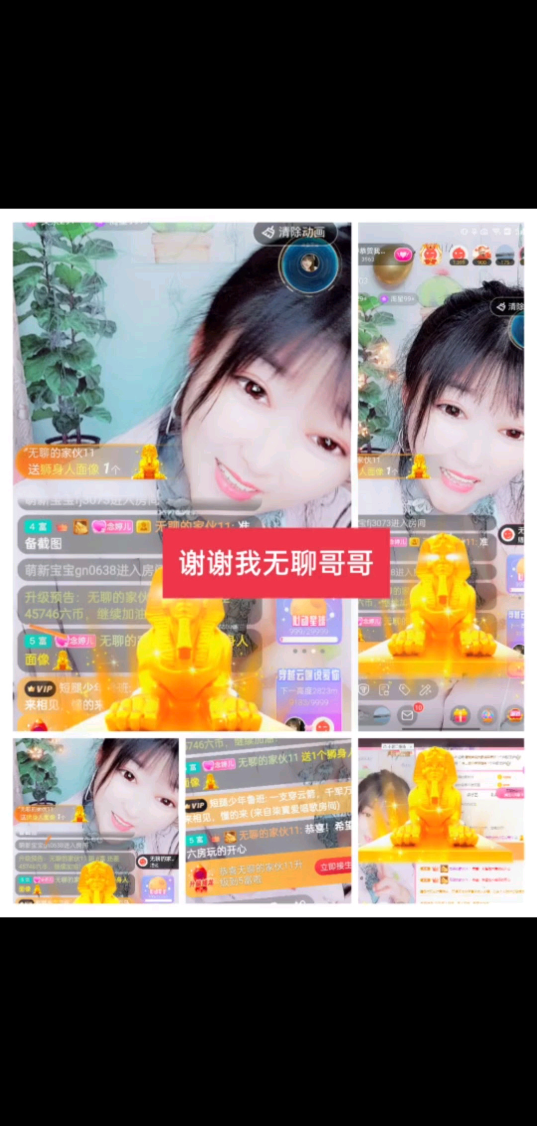 /飞吻/飞吻