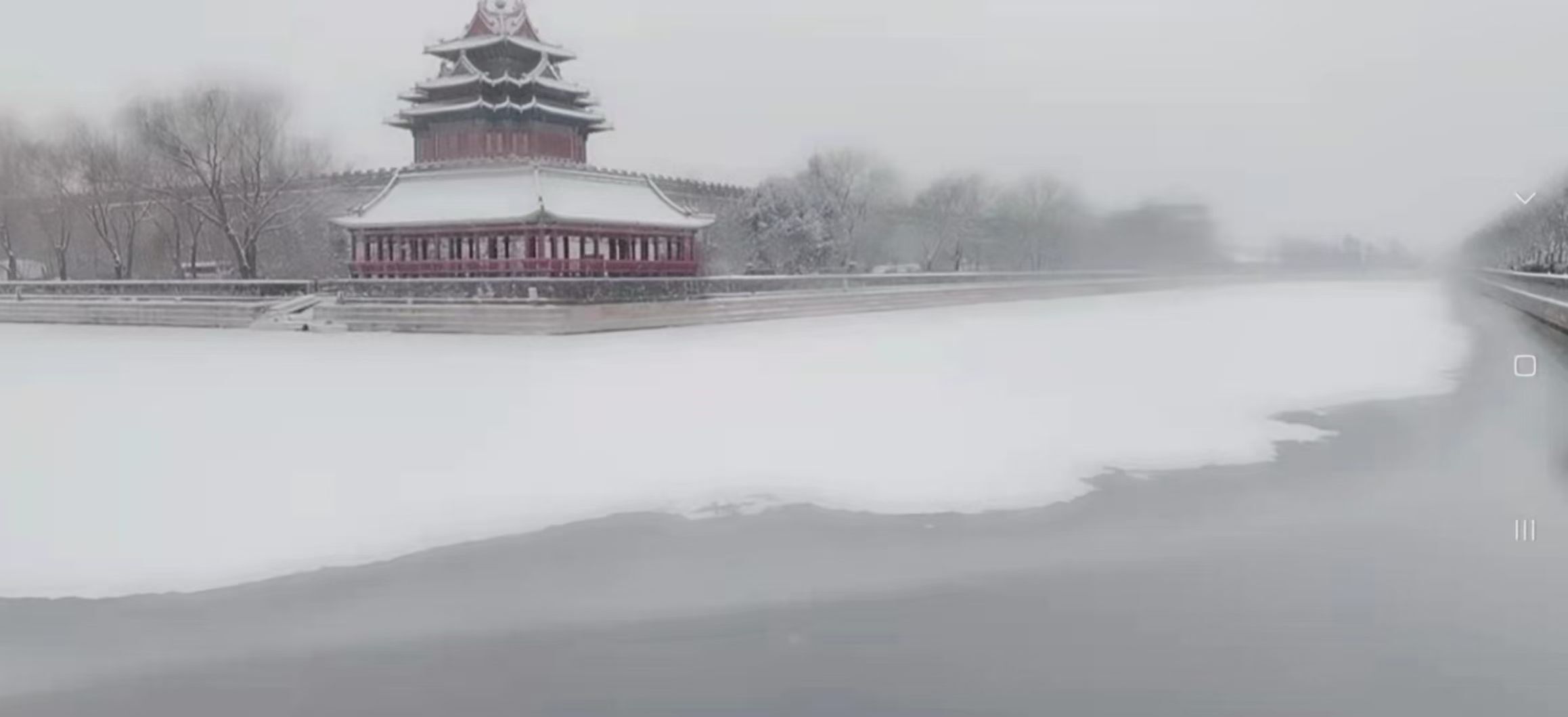 果果(平安好运)的图片
