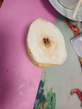 果果(平安好运)主播照片