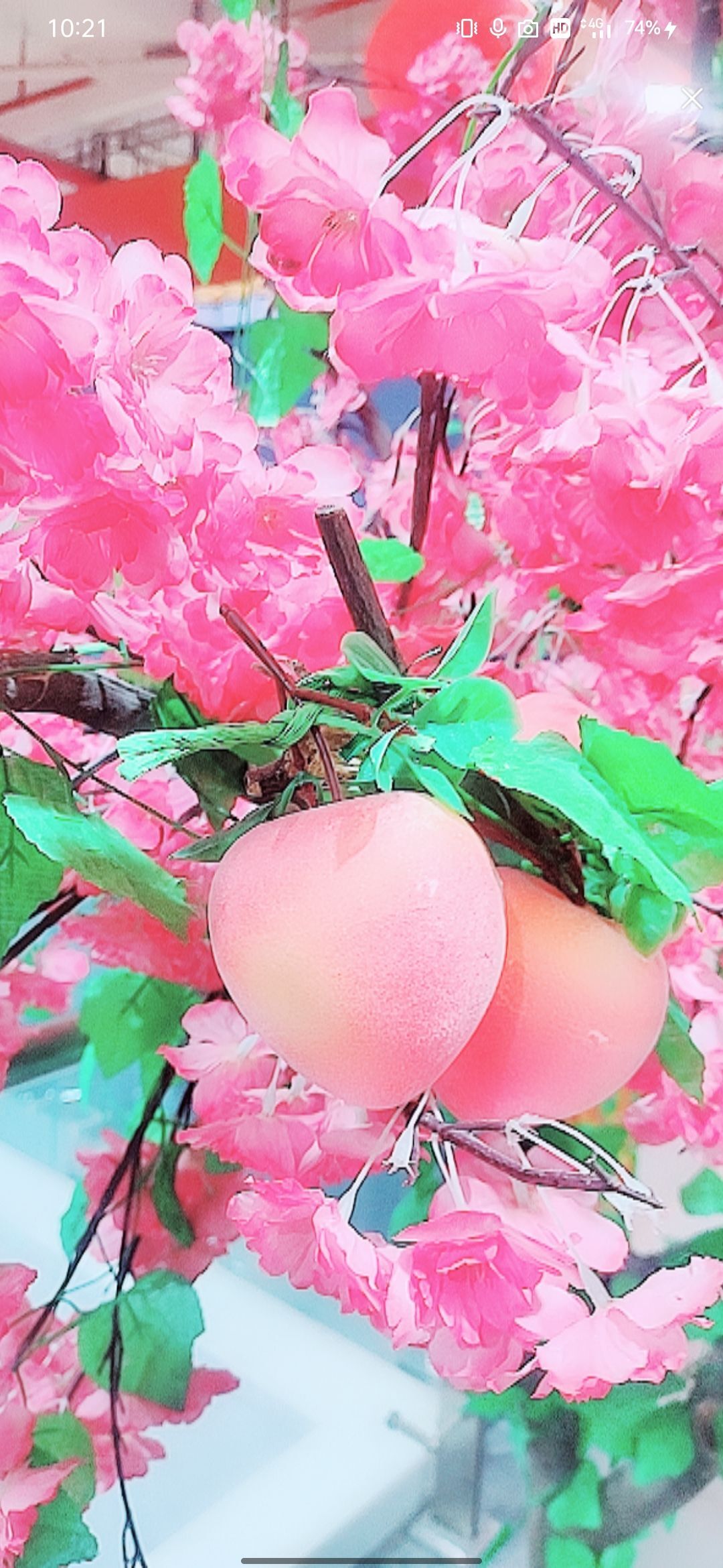婷婷💕感恩有你陪伴的图片