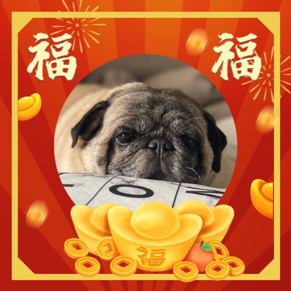 䒕麻花请求支援！的图片