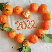 დ释怀დ主播照片