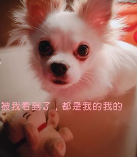 樂💅十八主播照片