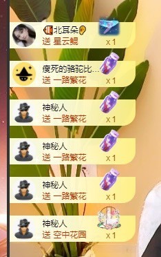 娜塔莎退主播照片