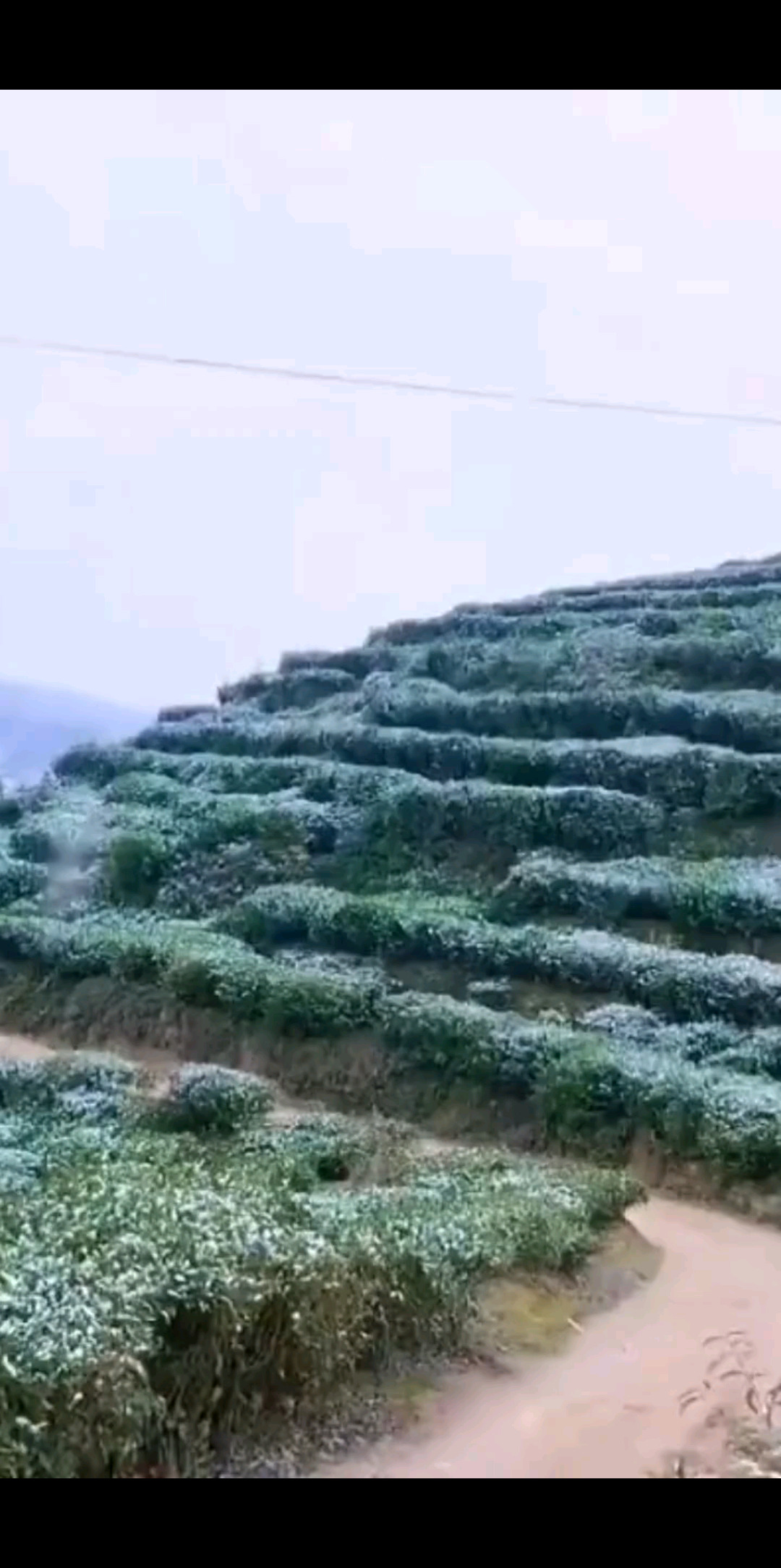 瑞雪兆丰年吖/色色😝