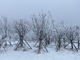 ぃ迷失⛄️8181主播照片