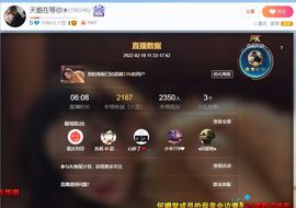 天鹅飞远了主播照片