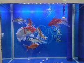 你好扎，好无耻主播照片