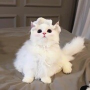 洁儿hahaha