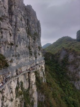 👋掏~主播照片