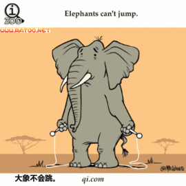 回忆里坚强主播照片