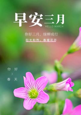 ☂客家甜心金牌代理☂主播照片