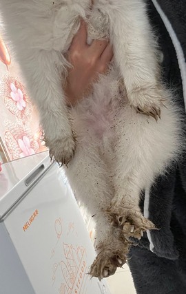小雅代理ღ招财吖主播照片
