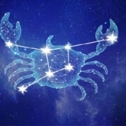 念念尊师萧剑主播照片